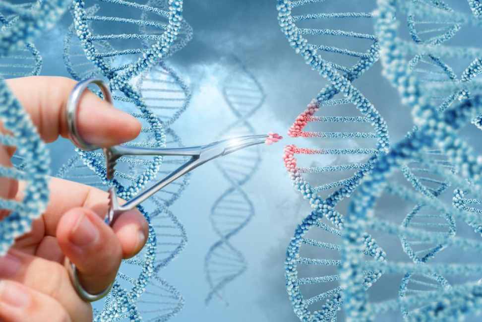 What are some ethical considerations when it comes to genetic manipulation?